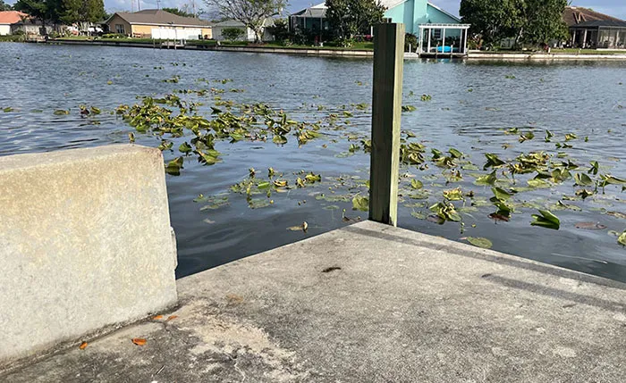 Seawall Repair dallas